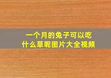 一个月的兔子可以吃什么草呢图片大全视频