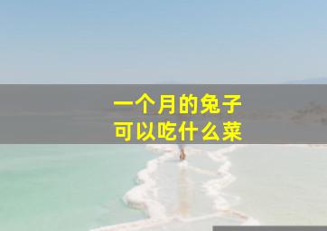 一个月的兔子可以吃什么菜