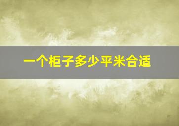 一个柜子多少平米合适