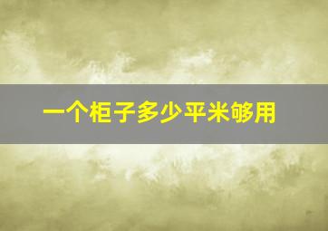 一个柜子多少平米够用