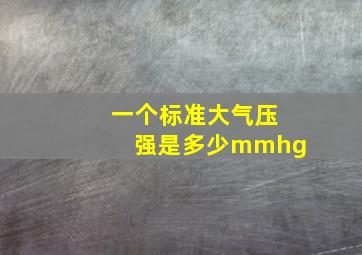 一个标准大气压强是多少mmhg