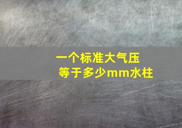 一个标准大气压等于多少mm水柱