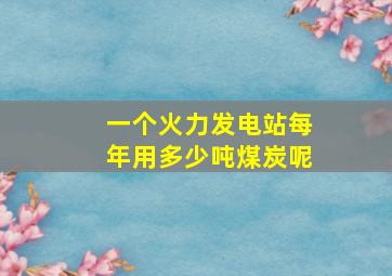 一个火力发电站每年用多少吨煤炭呢