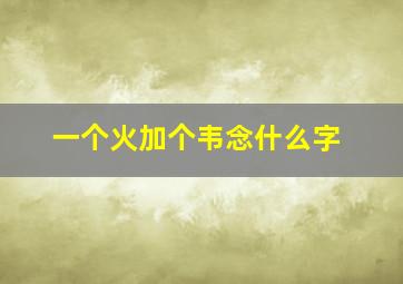 一个火加个韦念什么字