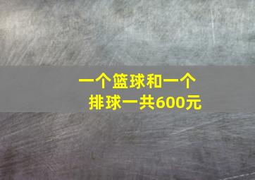 一个篮球和一个排球一共600元