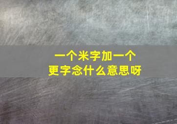 一个米字加一个更字念什么意思呀