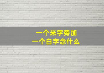 一个米字旁加一个白字念什么