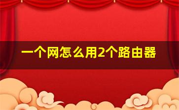 一个网怎么用2个路由器