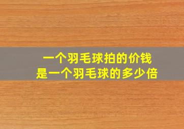 一个羽毛球拍的价钱是一个羽毛球的多少倍