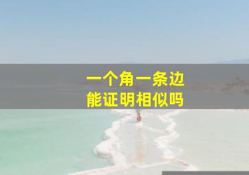 一个角一条边能证明相似吗