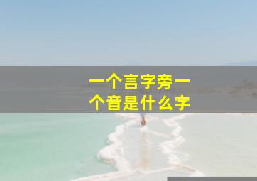 一个言字旁一个音是什么字