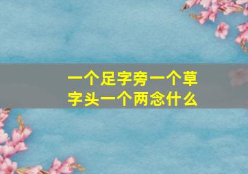 一个足字旁一个草字头一个两念什么