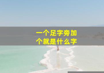 一个足字旁加个就是什么字