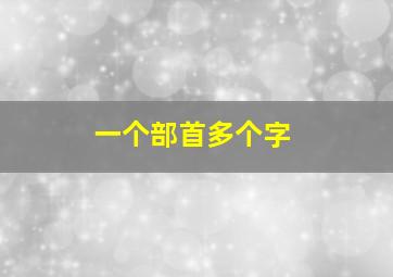 一个部首多个字