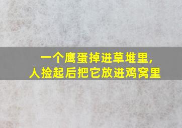 一个鹰蛋掉进草堆里,人捡起后把它放进鸡窝里