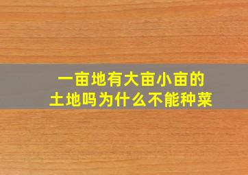 一亩地有大亩小亩的土地吗为什么不能种菜