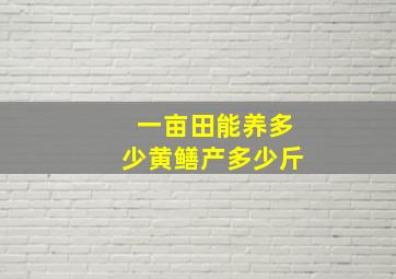 一亩田能养多少黄鳝产多少斤