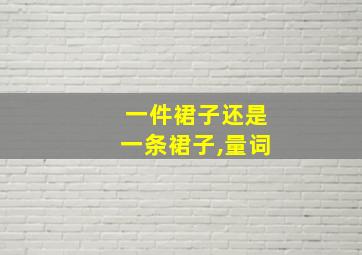 一件裙子还是一条裙子,量词