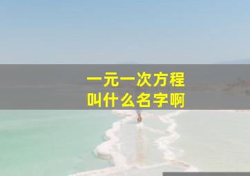 一元一次方程叫什么名字啊