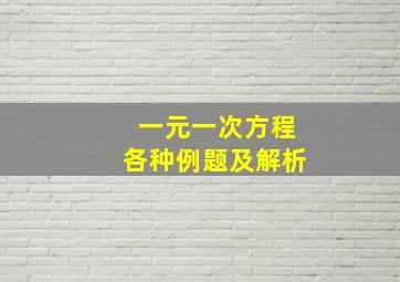 一元一次方程各种例题及解析