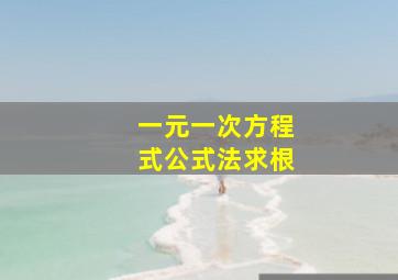 一元一次方程式公式法求根