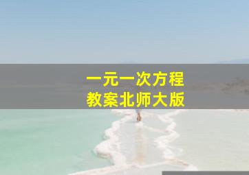 一元一次方程教案北师大版