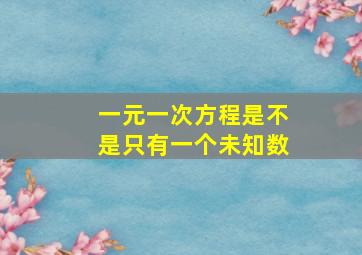 一元一次方程是不是只有一个未知数