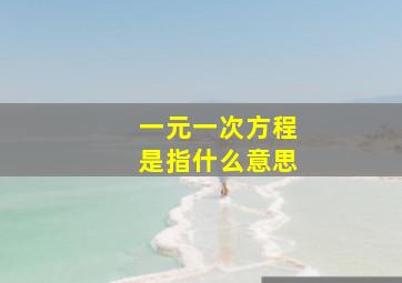 一元一次方程是指什么意思