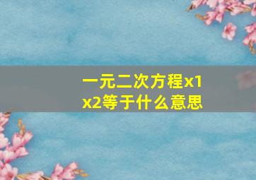 一元二次方程x1x2等于什么意思