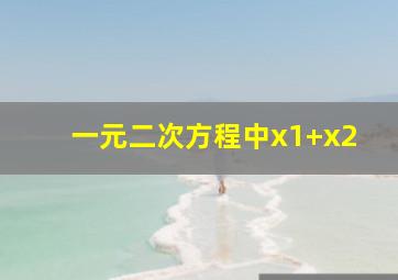 一元二次方程中x1+x2