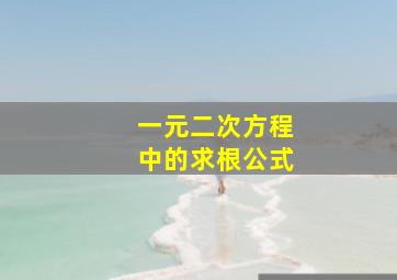 一元二次方程中的求根公式