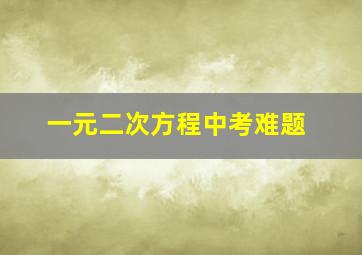 一元二次方程中考难题