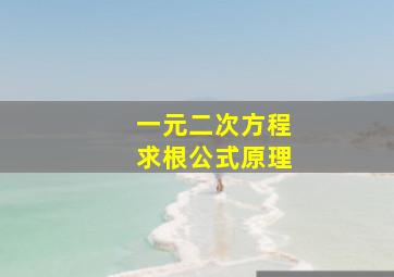 一元二次方程求根公式原理