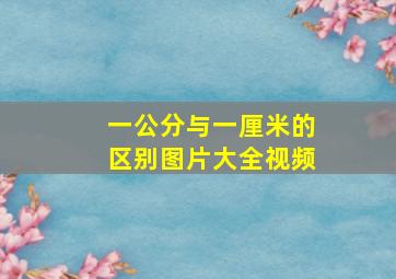 一公分与一厘米的区别图片大全视频