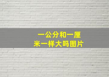 一公分和一厘米一样大吗图片