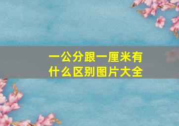 一公分跟一厘米有什么区别图片大全