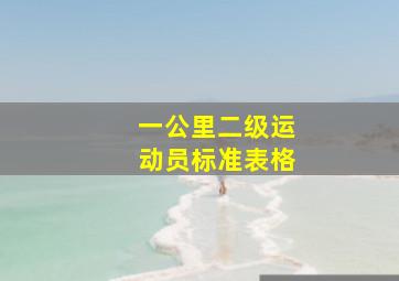 一公里二级运动员标准表格