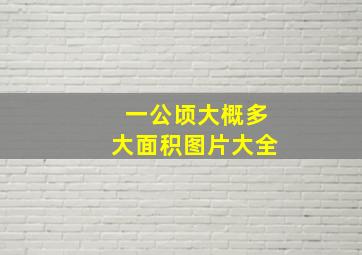 一公顷大概多大面积图片大全