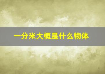 一分米大概是什么物体