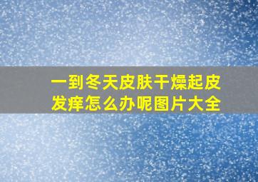 一到冬天皮肤干燥起皮发痒怎么办呢图片大全