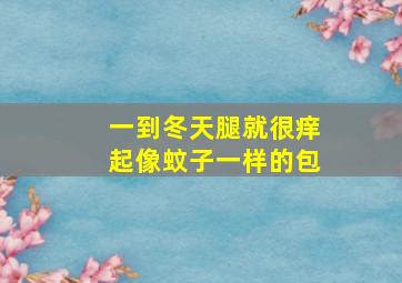 一到冬天腿就很痒起像蚊子一样的包