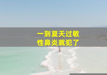 一到夏天过敏性鼻炎就犯了