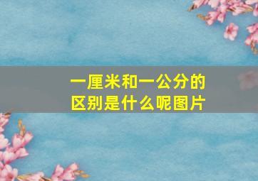 一厘米和一公分的区别是什么呢图片