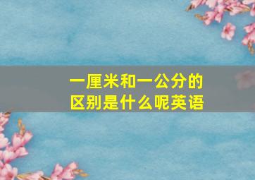 一厘米和一公分的区别是什么呢英语