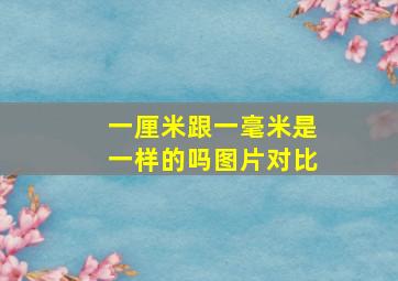 一厘米跟一毫米是一样的吗图片对比