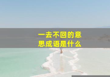 一去不回的意思成语是什么