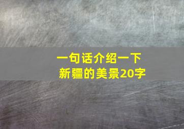 一句话介绍一下新疆的美景20字