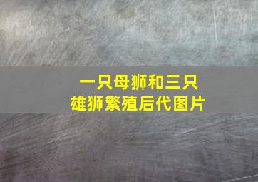 一只母狮和三只雄狮繁殖后代图片