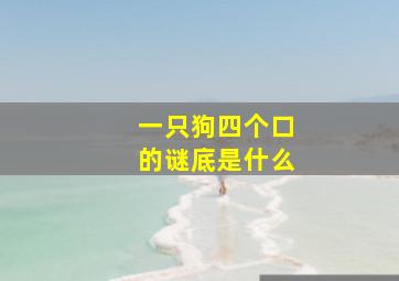 一只狗四个口的谜底是什么