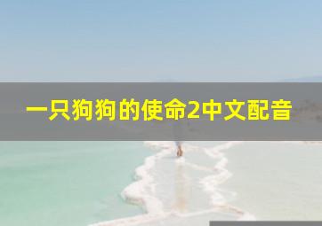 一只狗狗的使命2中文配音